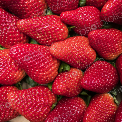 Fresh fruits, red ripe strawberries Fresh fruits, red ripe strawberries