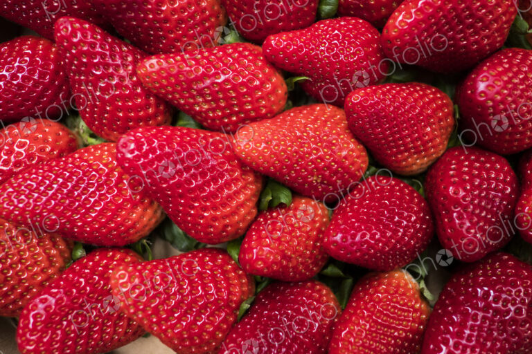 Fresh fruits, red ripe strawberries