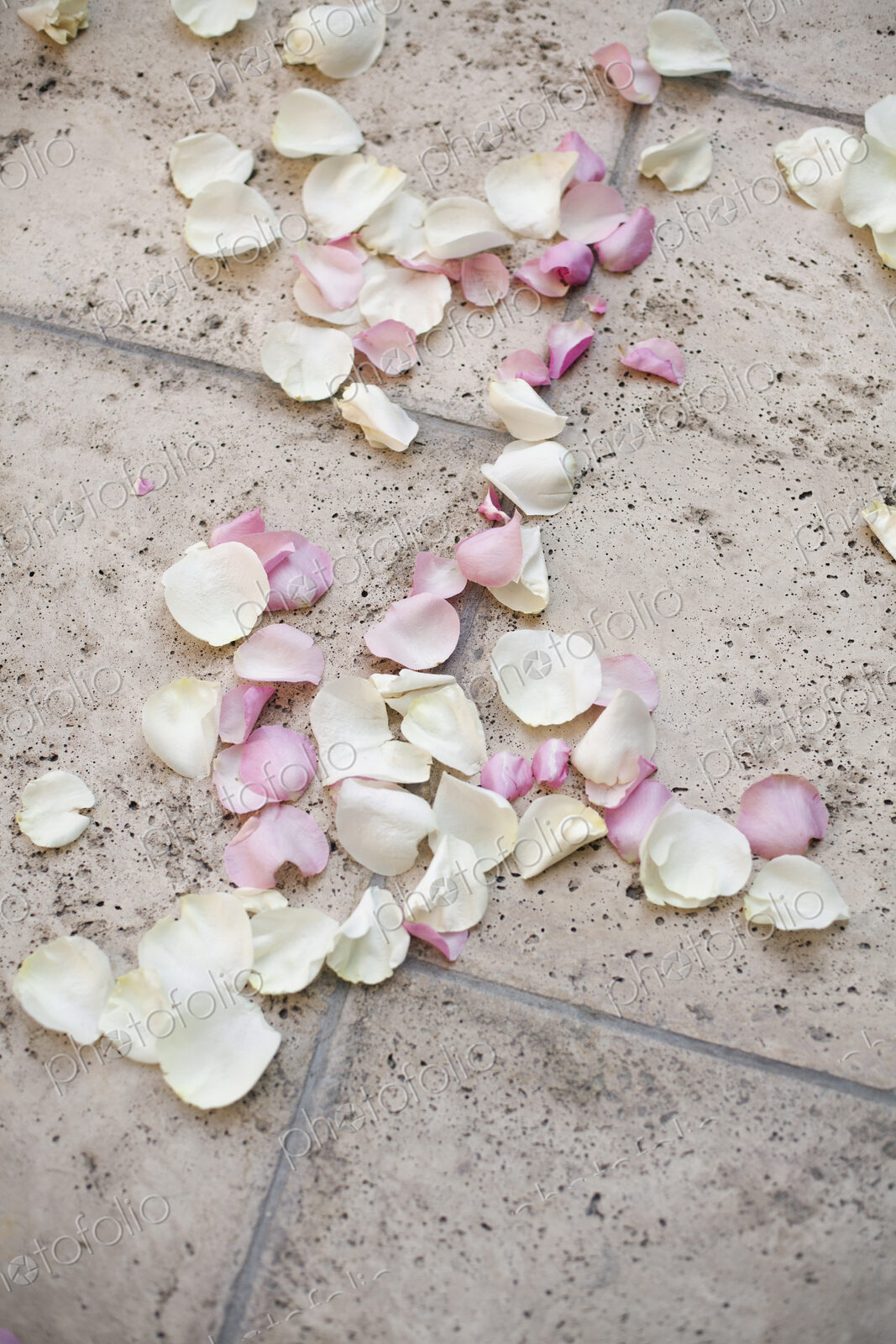 Fresh organic confetti, natural pink dried rose petals on the ground. Traditional…