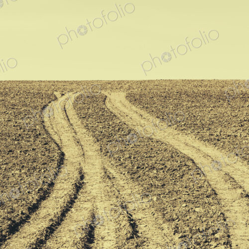 Fresh tire tracks on farmland, near Pullman Fresh tire tracks on farmland, near Pullman