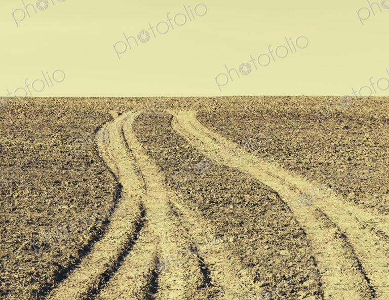 Fresh tire tracks on farmland, near Pullman