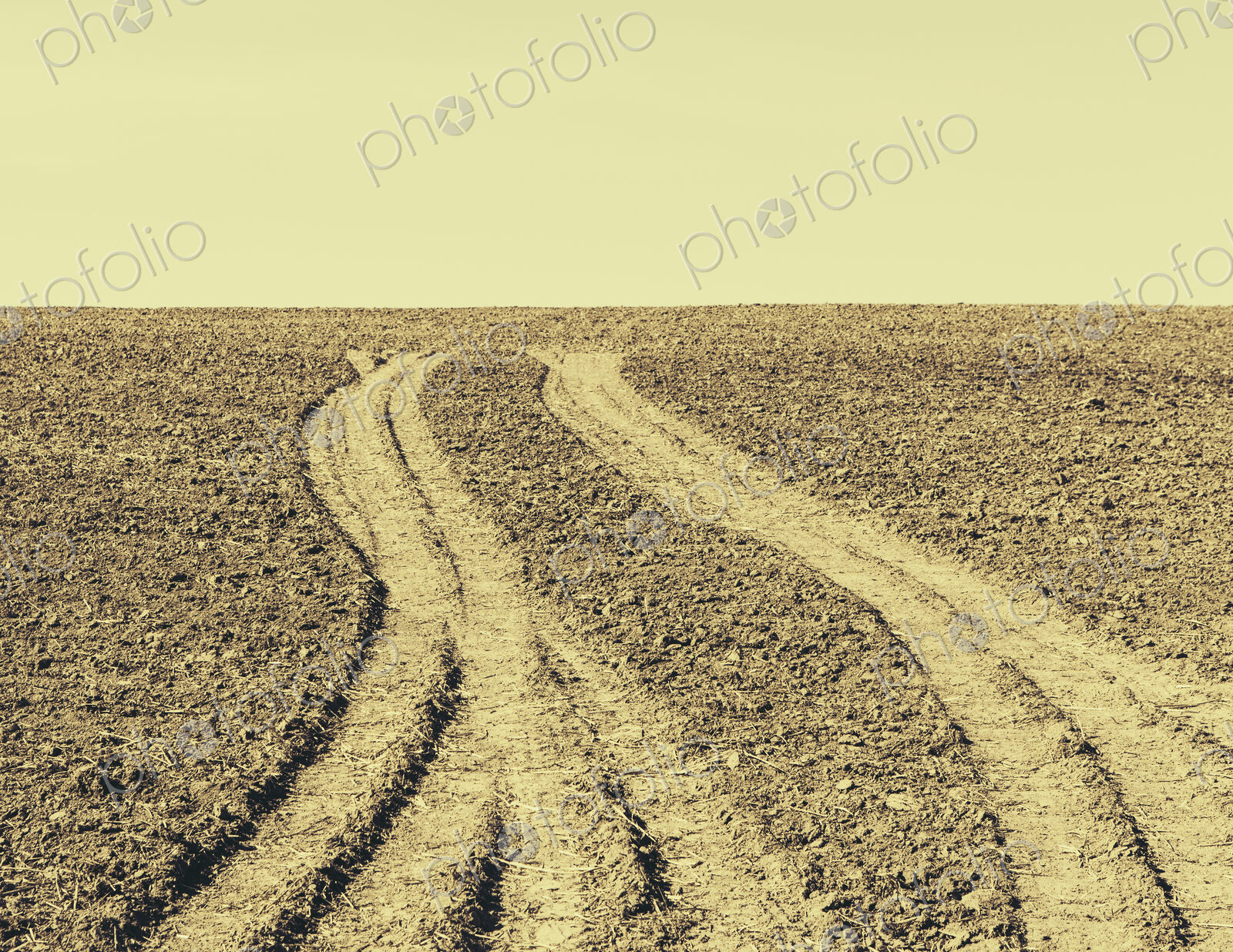 Fresh tire tracks on farmland, near Pullman