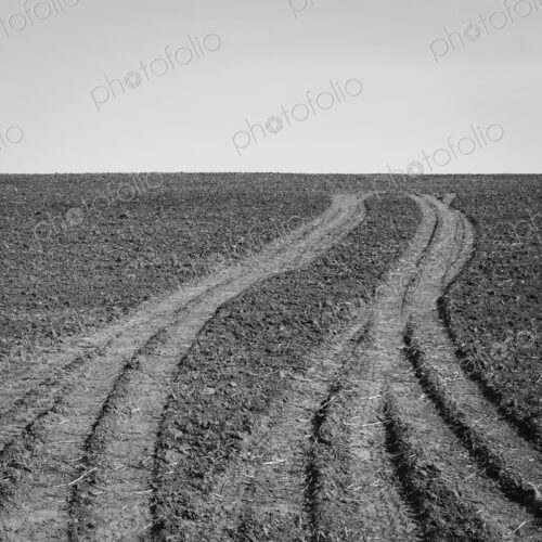 Fresh tire tracks on farmland, near Pullman