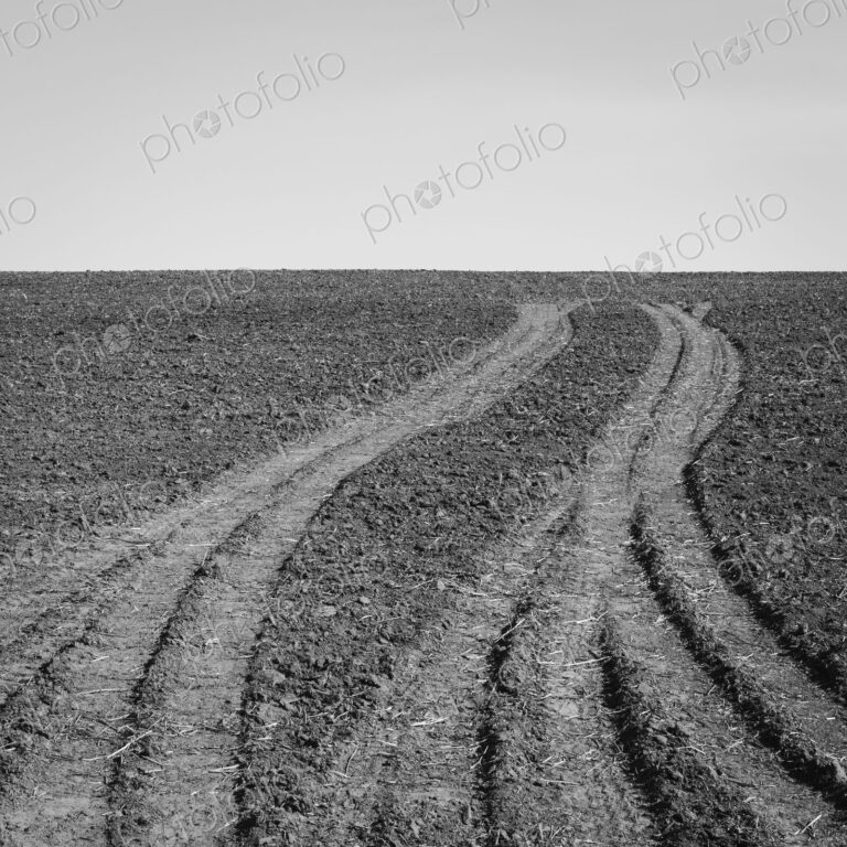 Fresh tire tracks on farmland, near Pullman