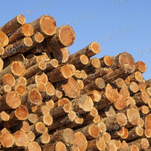 Freshly cut logs stacked at a lumber facility in Coos Bay, Oregon, against a clear…