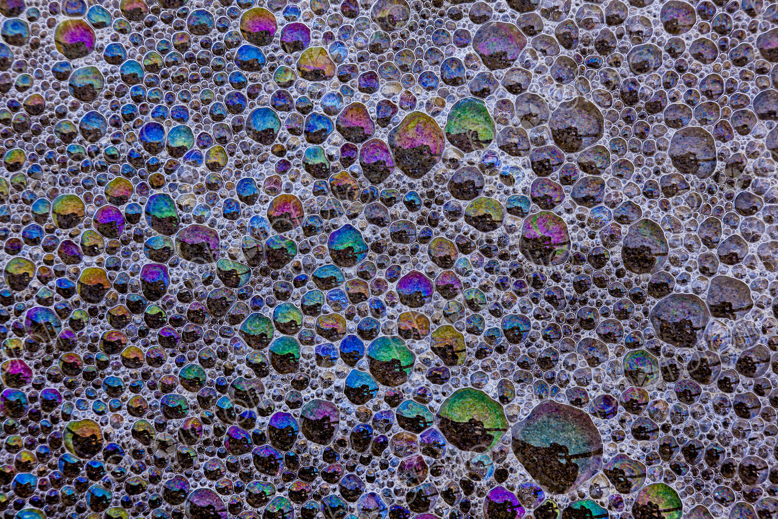 Froth and bubbles of air reflecting rainbow colours on the surface at Cannon Beach,…