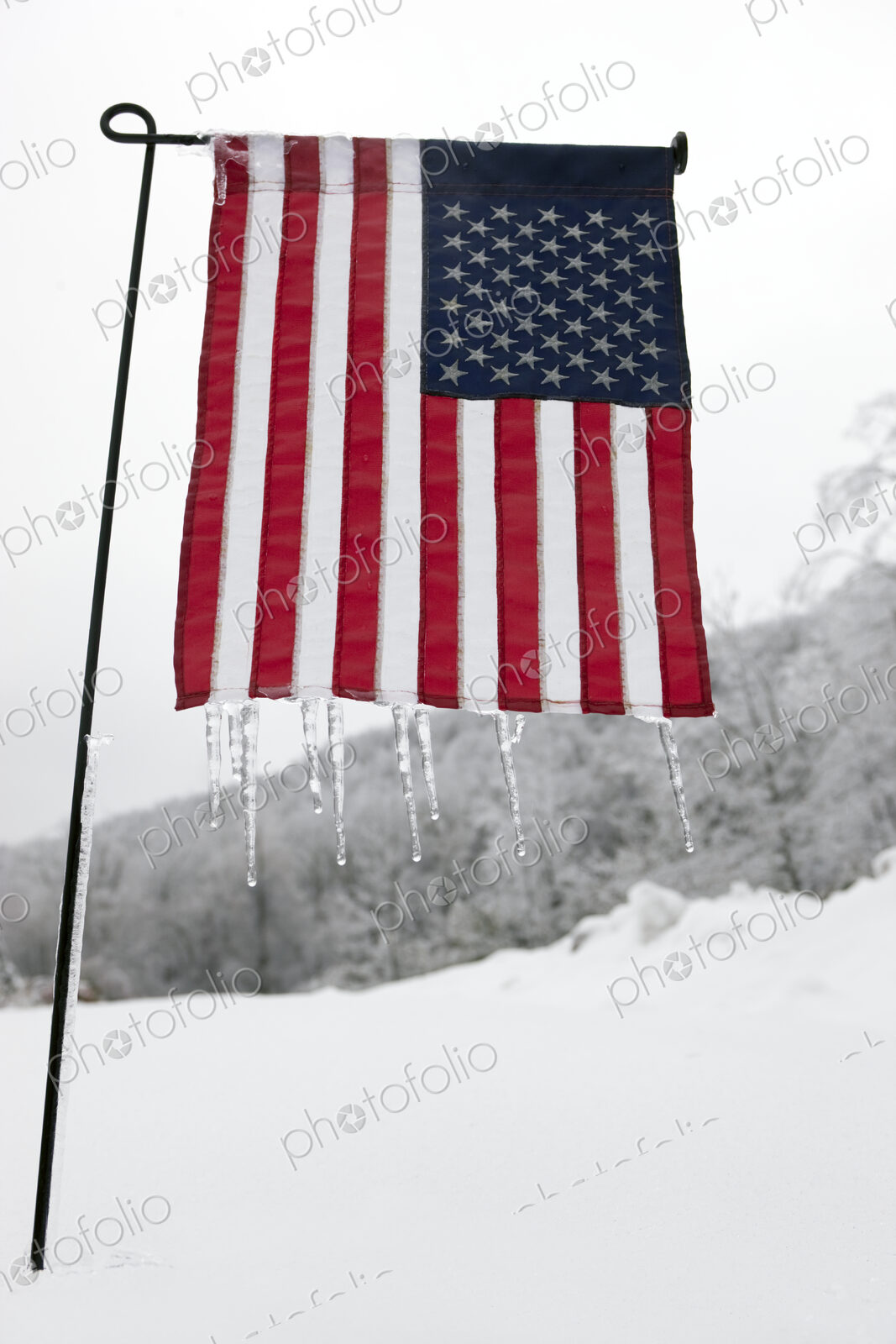 Frozen Flag of the United States