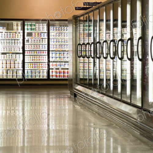 Frozen Food Section