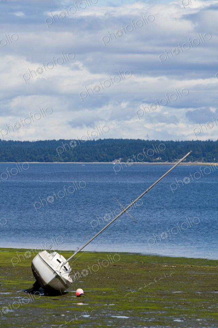 Frye Cove County Park on Eld Inlet, South Puget Sound, a boat beached on the sand.