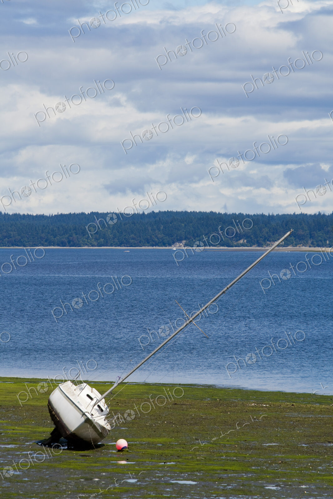 Frye Cove County Park on Eld Inlet, South Puget Sound, a boat beached on the sand.