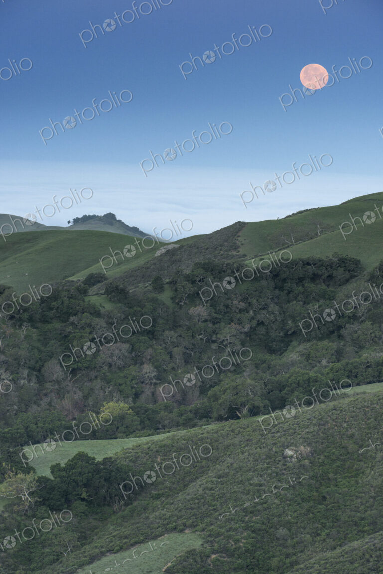 Full Moon in the sky over the landscape near Paso Robles.
