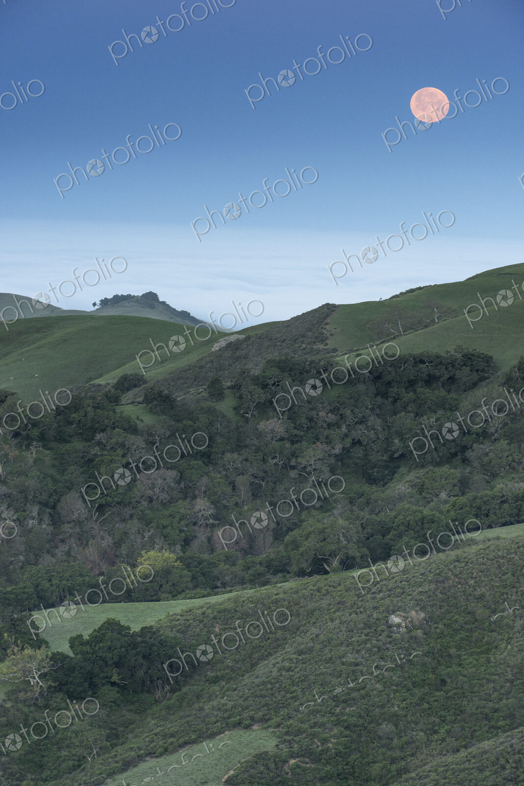 Full Moon in the sky over the landscape near Paso Robles.