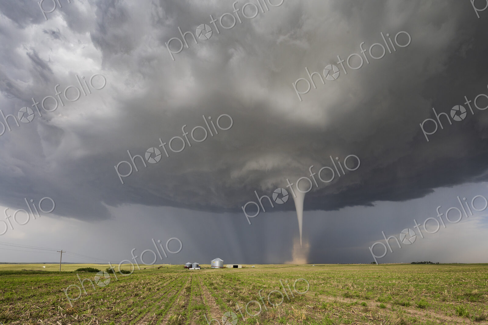Fully Condensed Tornado, a weather event, clouds and vapour in a whirlwind reaching…