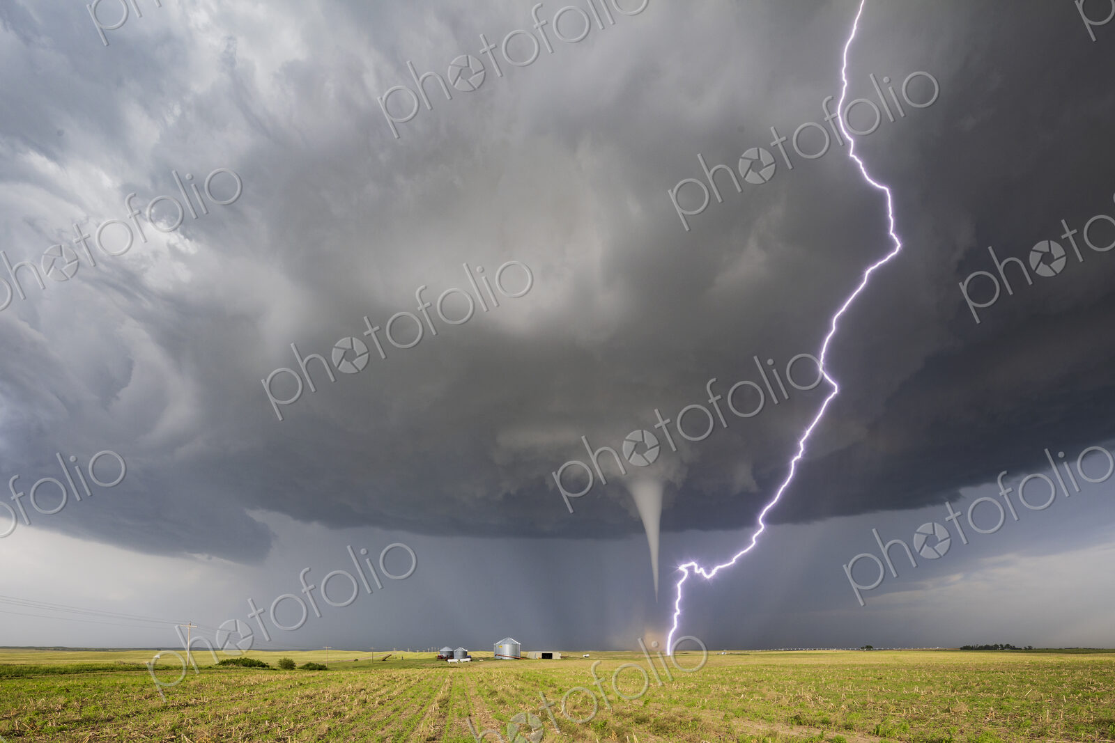 Fully Condensed Tornado with a lightning bolt from the clouds reaching the ground,…