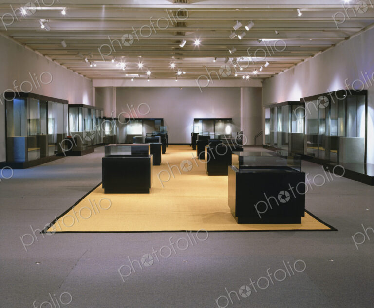 Gallery space and podiums, an empty art gallery with exhibition cases.