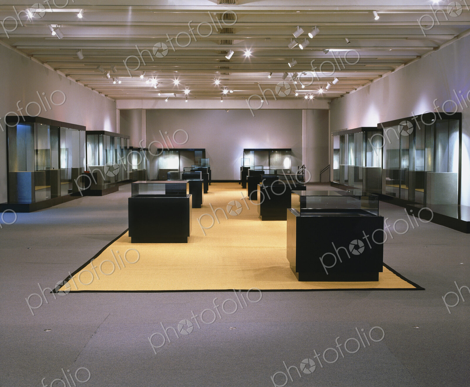 Gallery space and podiums, an empty art gallery with exhibition cases.