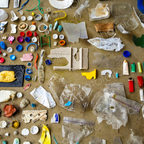 Garbage collected on one day on the beach, from the Elwha River mouth near Port Angeles Garbage collected on one day on the beach, from the Elwha River mouth near Port Angeles