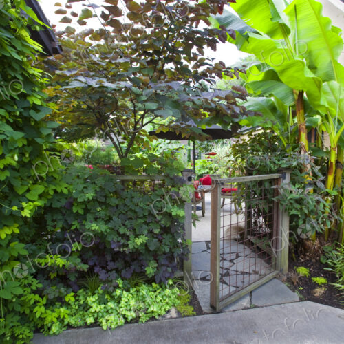 Garden Gate Garden Gate
