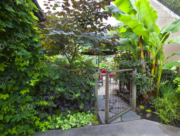 Garden Gate
