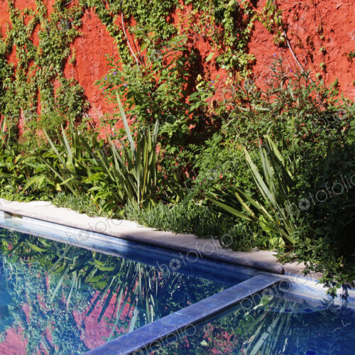 Garden Pool and Hot Tub