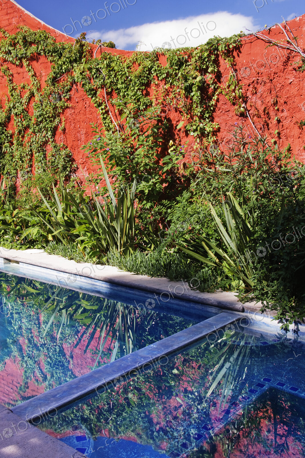 Garden Pool and Hot Tub
