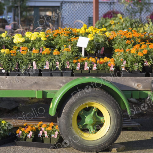 Garden Store Garden Store