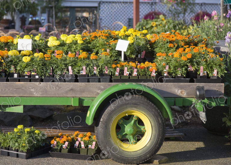 Garden Store