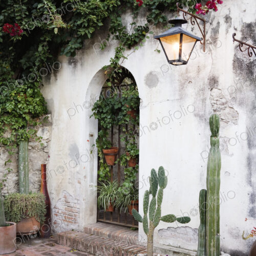 Garden Wall and Planters