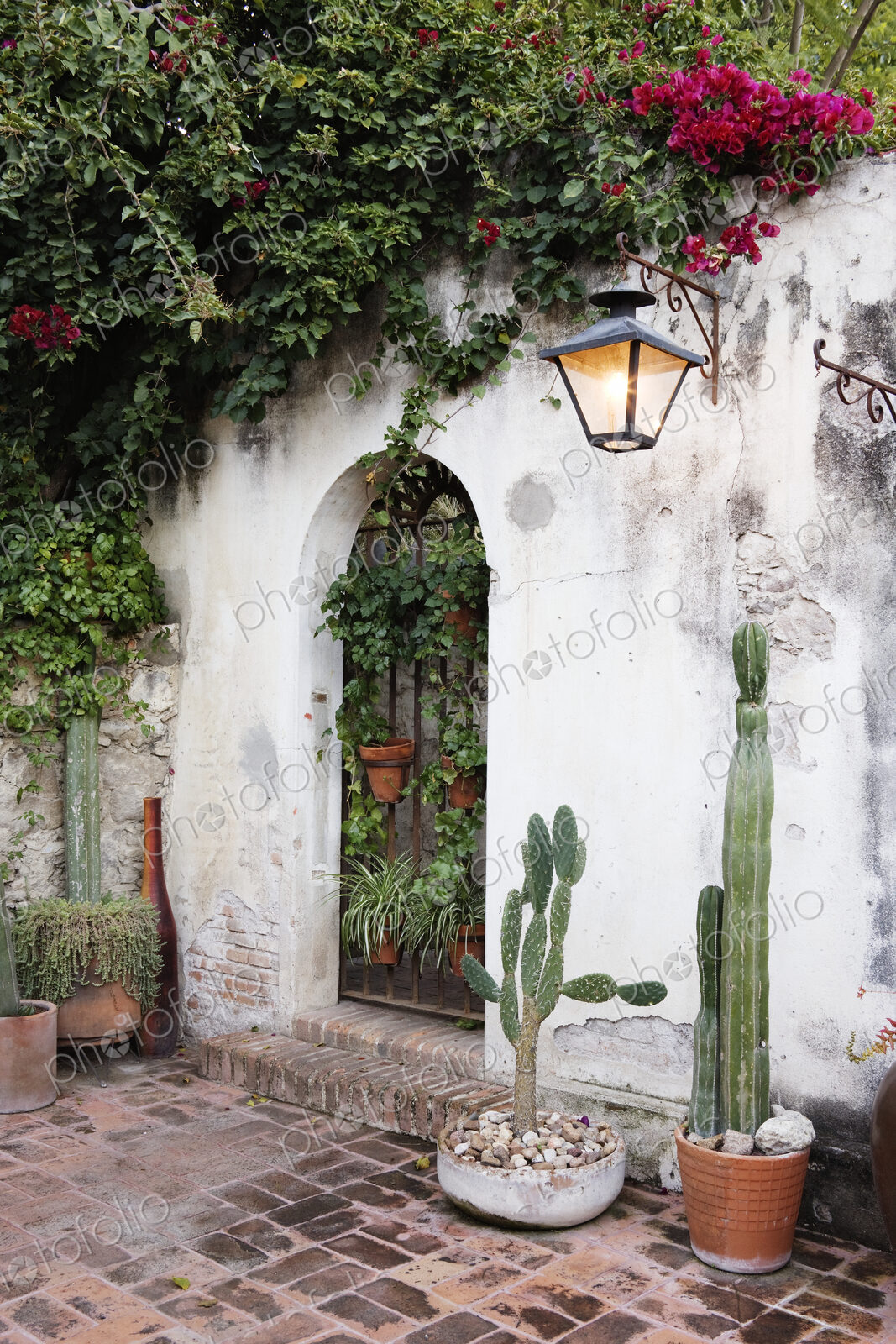 Garden Wall and Planters