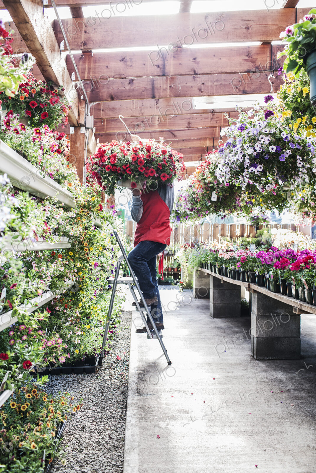 Garden center nursery employee with a hanging basket of plants.