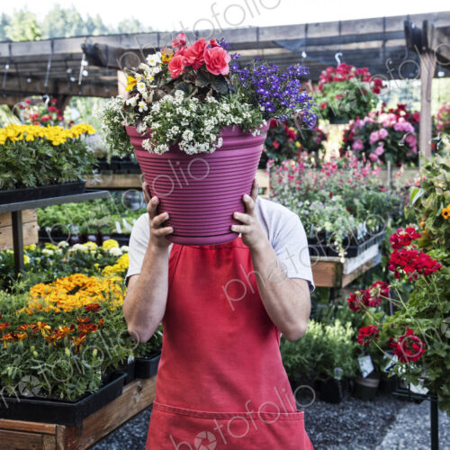 Garden center nursery employee with potted plants.