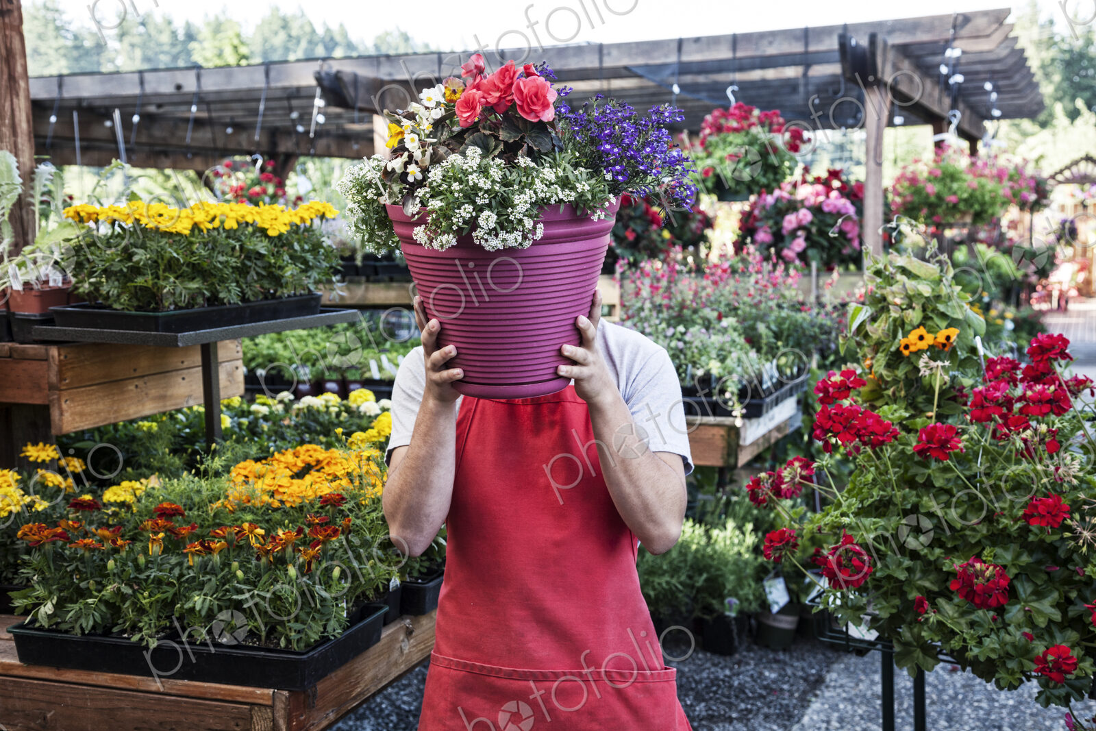 Garden center nursery employee with potted plants.