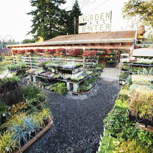 Garden center nursery exterior view.