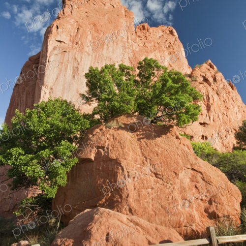 Garden of The Gods Garden of The Gods
