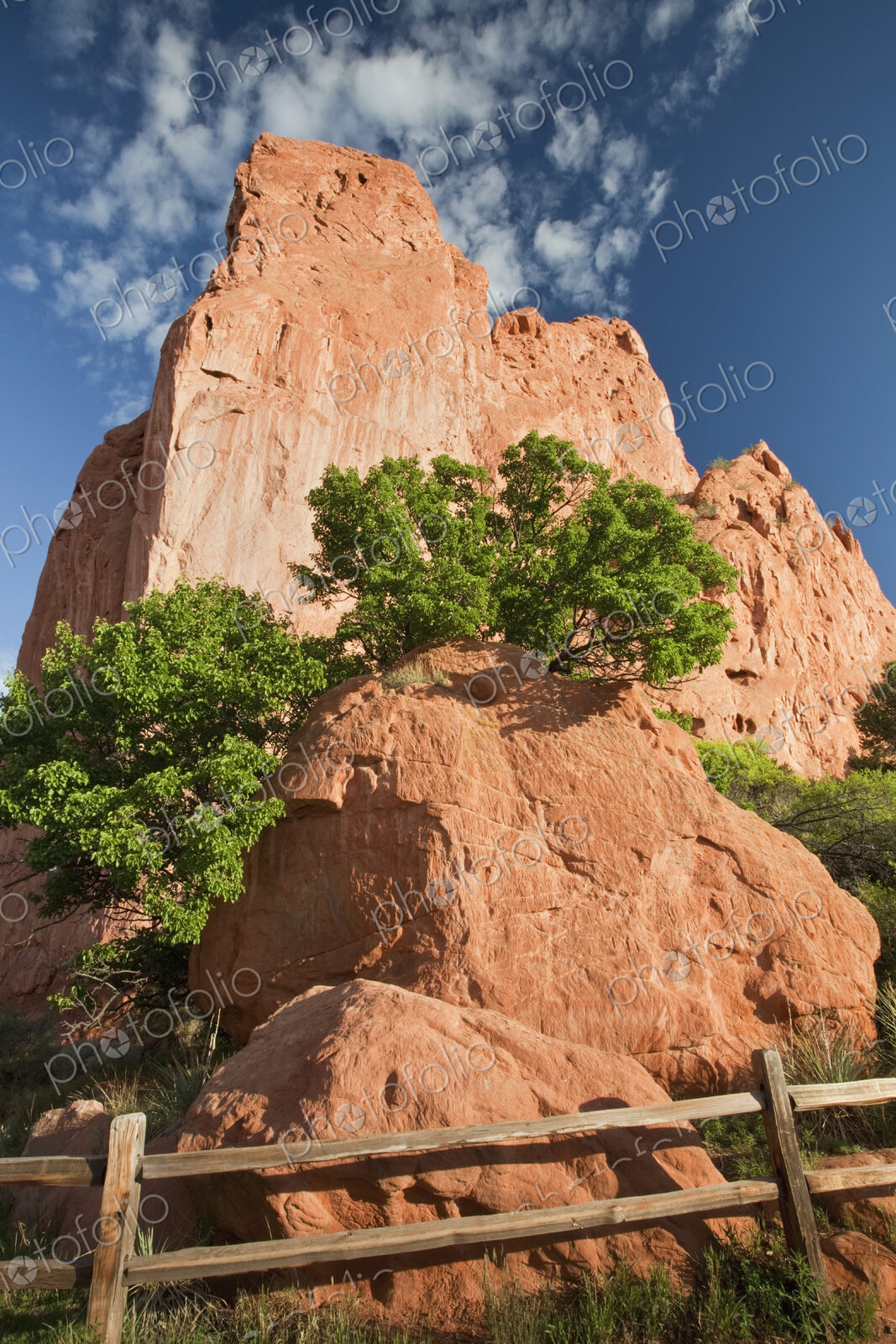 Garden of The Gods