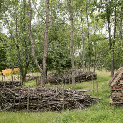 Garden with large bug house and wood stacks