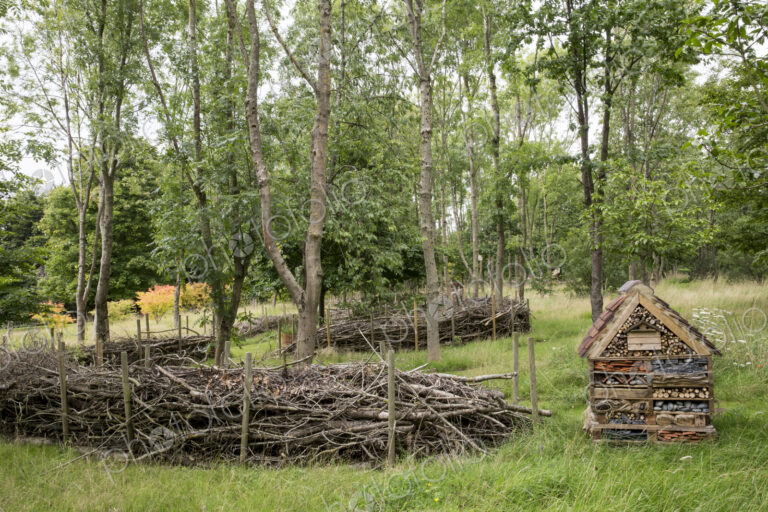 Garden with large bug house and wood stacks