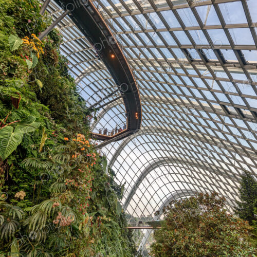 Gardens by the Bay, Singapore, glass panels in the roof and elevated walkwat and…