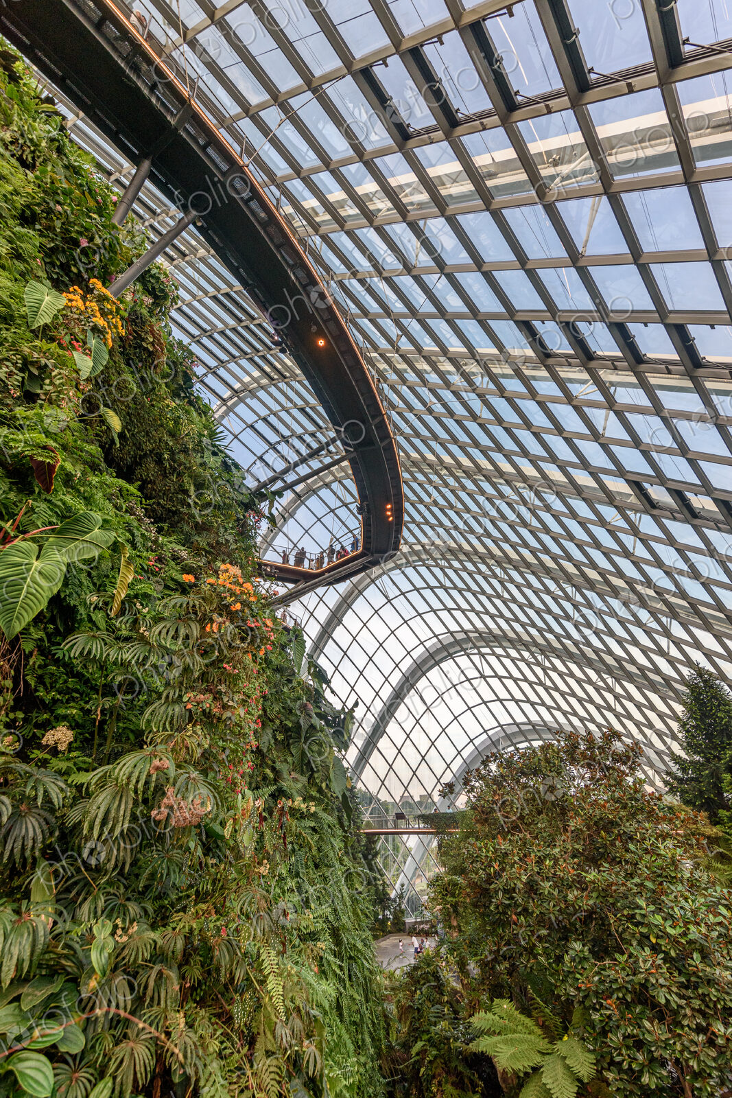 Gardens by the Bay, Singapore, glass panels in the roof and elevated walkway and…