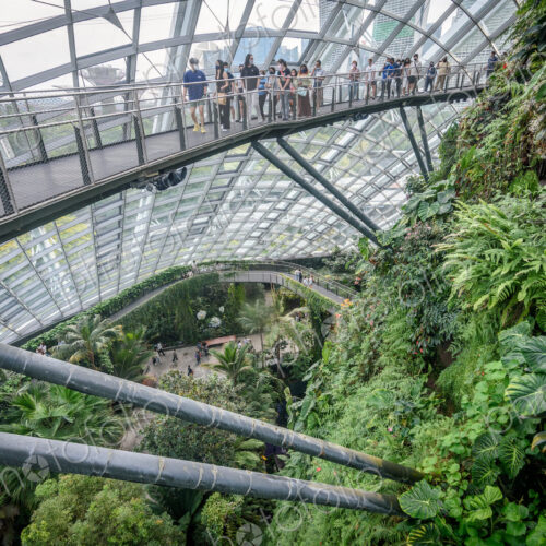Gardens by the Bay, Singapore, glass roof and walls, elevated walkways and tropical…