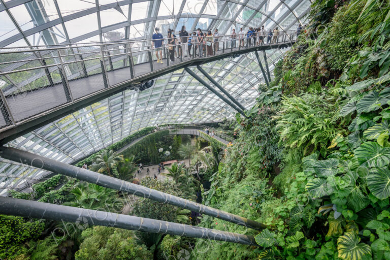 Gardens by the Bay, Singapore, glass roof and walls, elevated walkways and tropical…