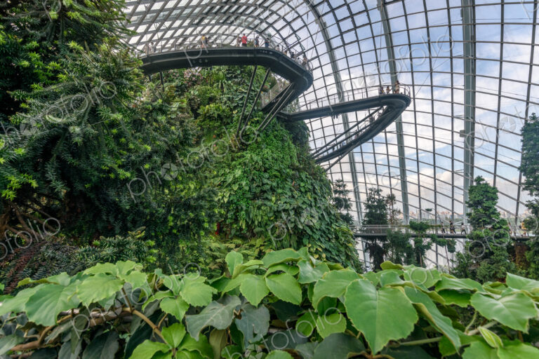 Gardens by the Bay, Singapore, glass roof and walls, elevated walkways and tropical…