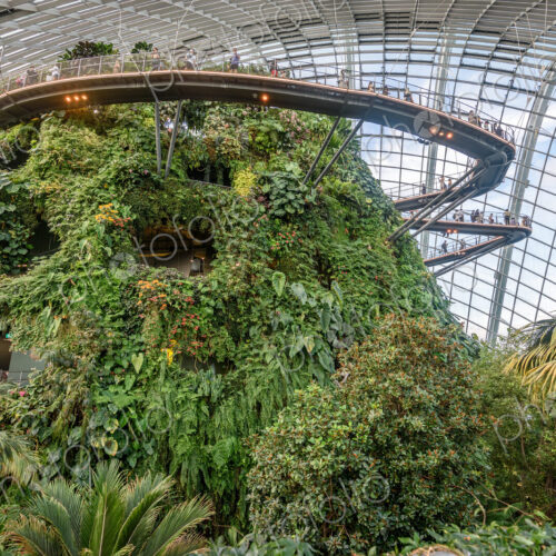 Gardens by the Bay, Singapore, glass roof and walls, elevated walkways and tropical…