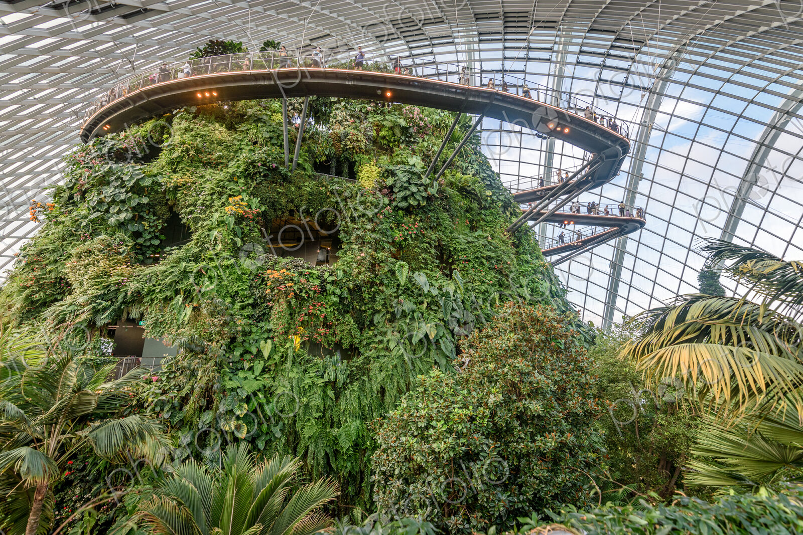 Gardens by the Bay, Singapore, glass roof and walls, elevated walkways and tropical…