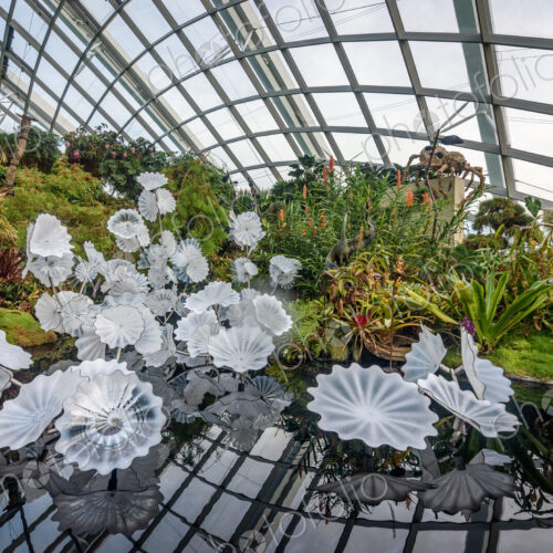 Gardens by the Bay, Singapore, glass roof and walls, glass flower shapes and a water…