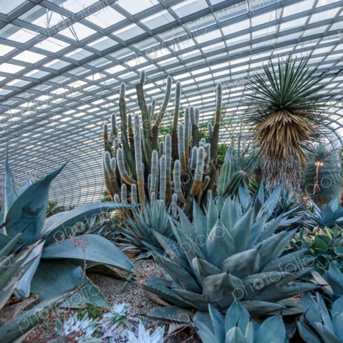 Gardens by the Bay, Singapore, the huge atrium of the hotel with glass roofs and…