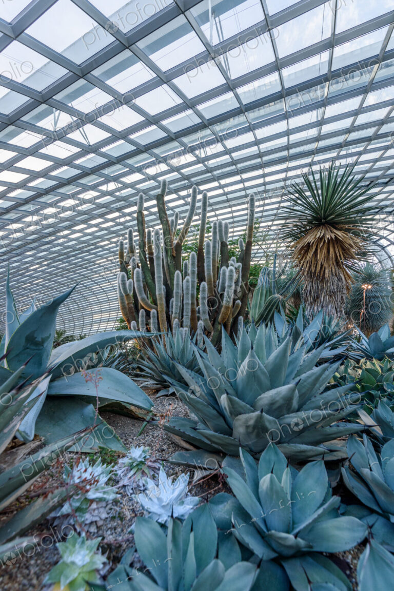 Gardens by the Bay, Singapore, the huge atrium of the hotel with glass roofs and…