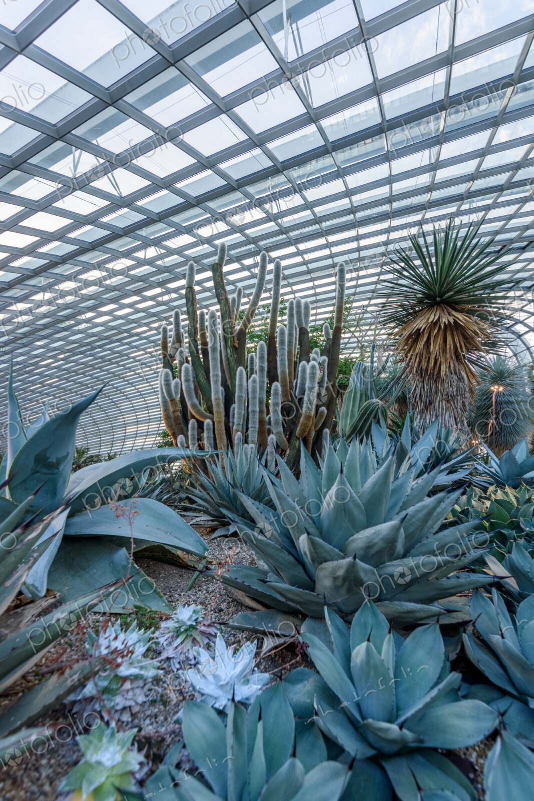 Gardens by the Bay, Singapore, the huge atrium of the hotel with glass roofs and…