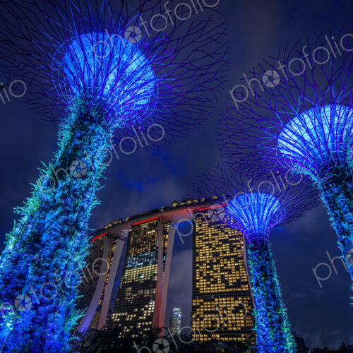 Gardens by the Bay illuminated at night, Singapore. Gardens by the Bay illuminated at night, Singapore.