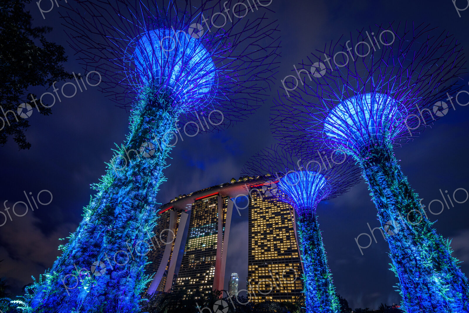 Gardens by the Bay illuminated at night, Singapore.